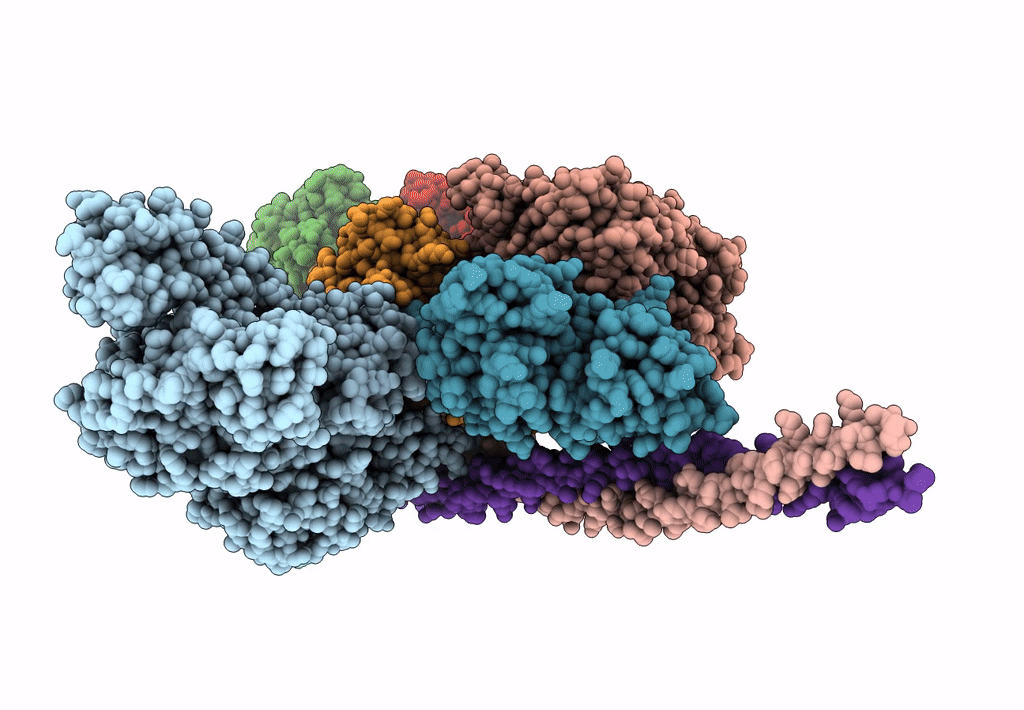 8EFH image
