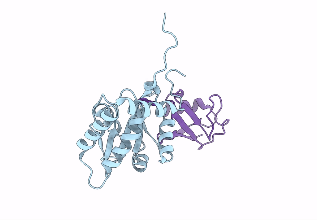 8EFW image
