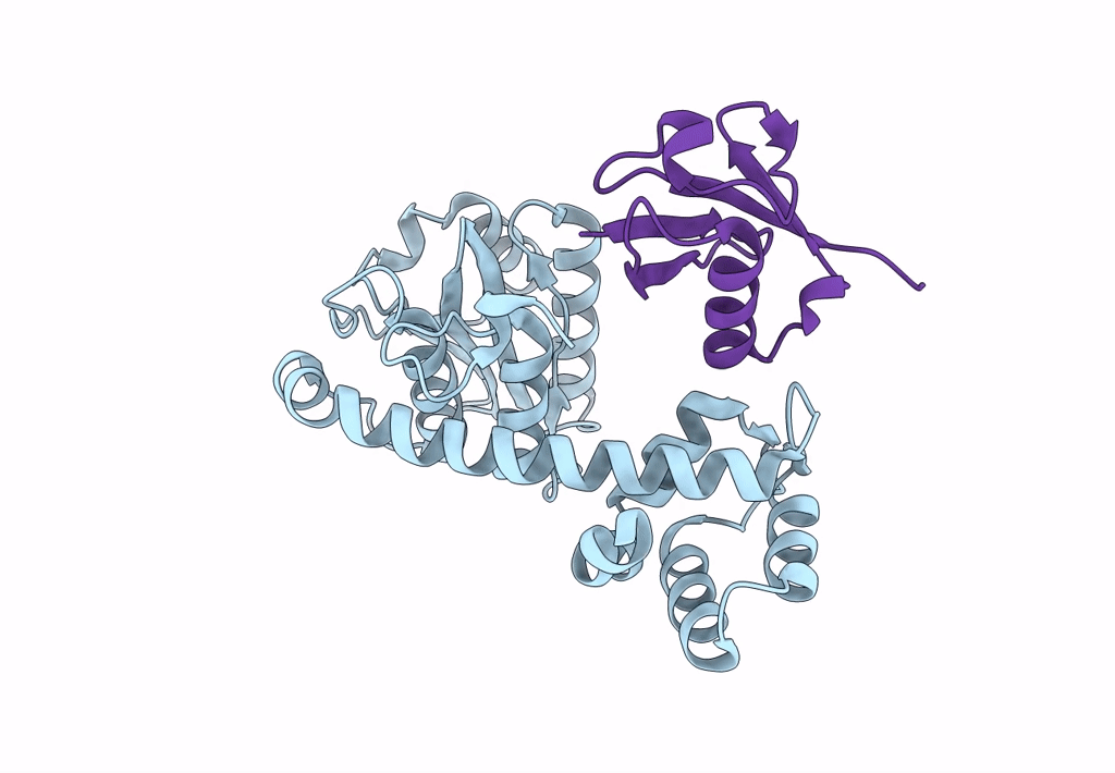 8EFX image