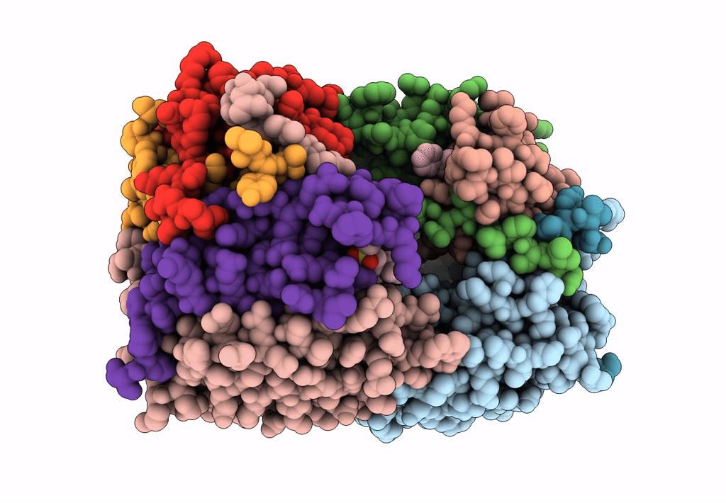 8EG5 image