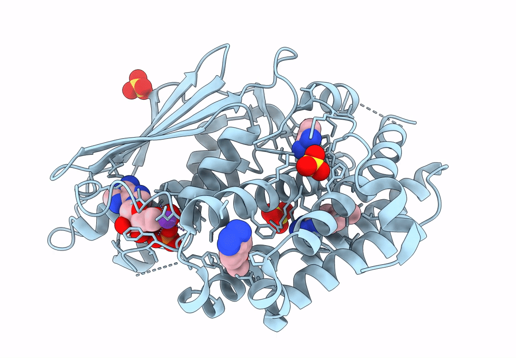 8EGD image