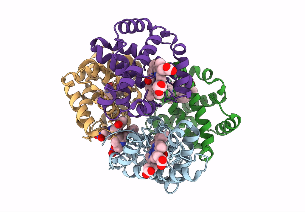 8EGI image