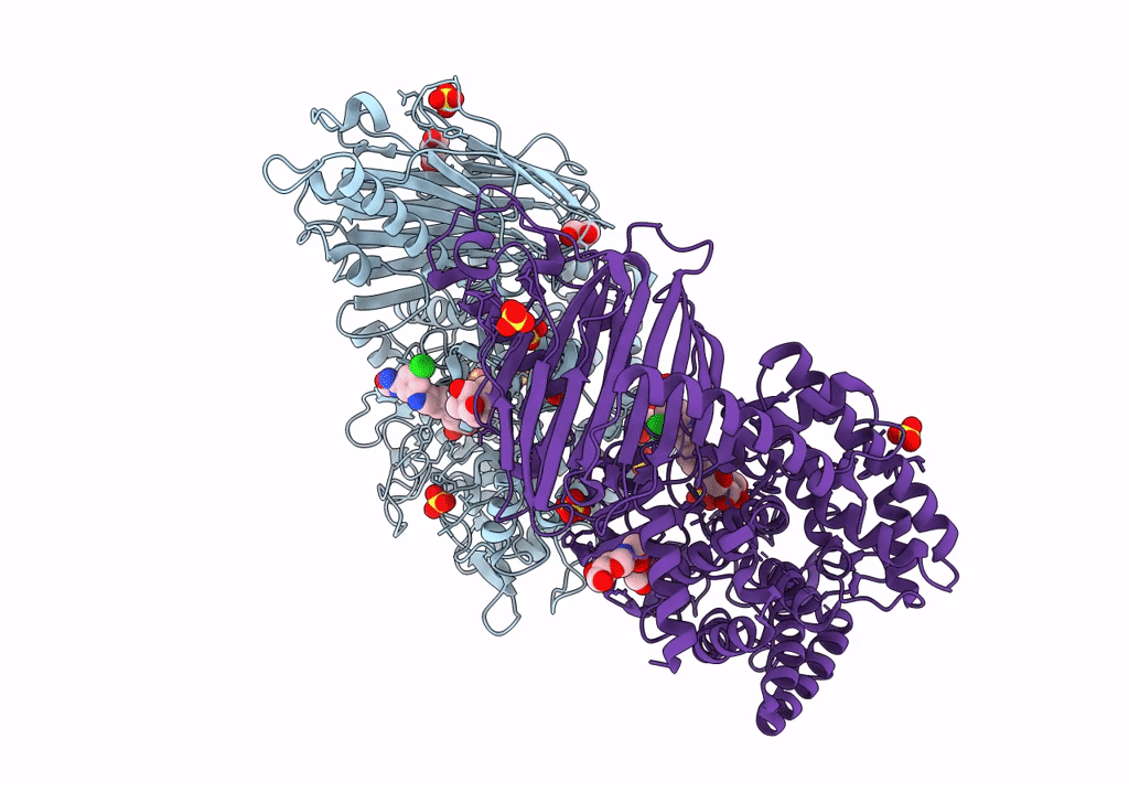 8EGV image