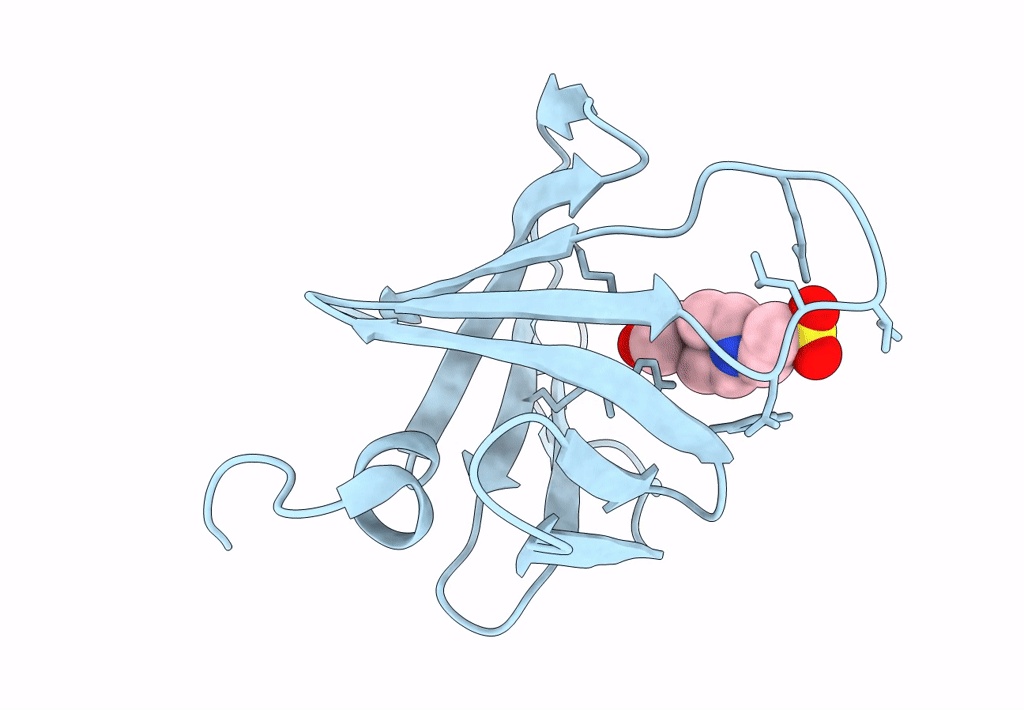 8EHD image