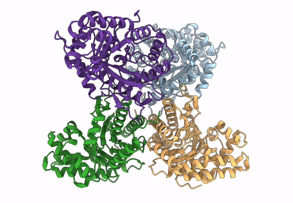 8EHG image