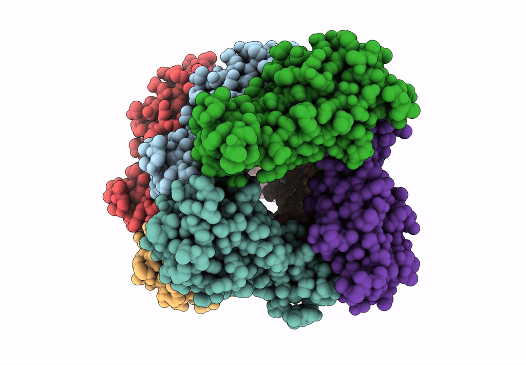 8EHR image