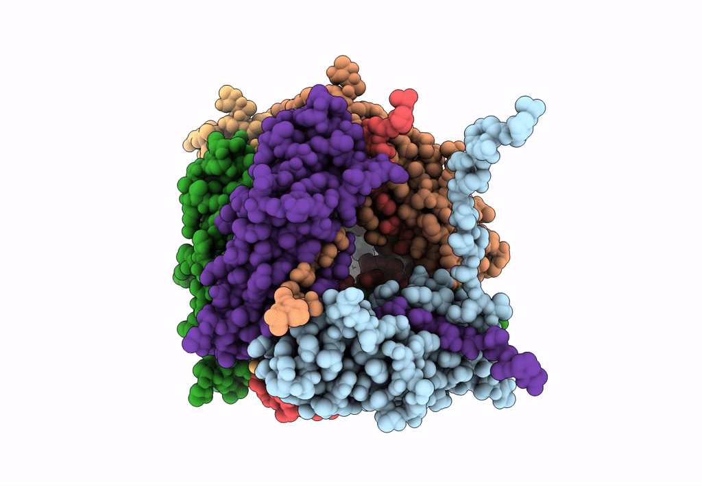 8EHT image