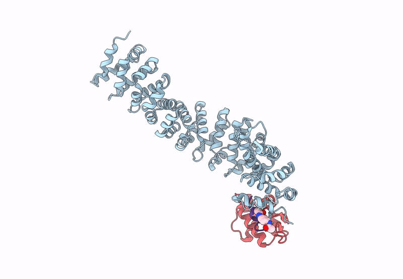 8EIA image