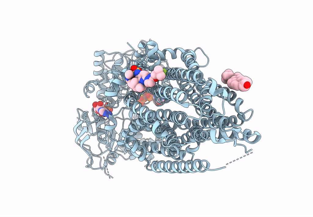 8EIG image