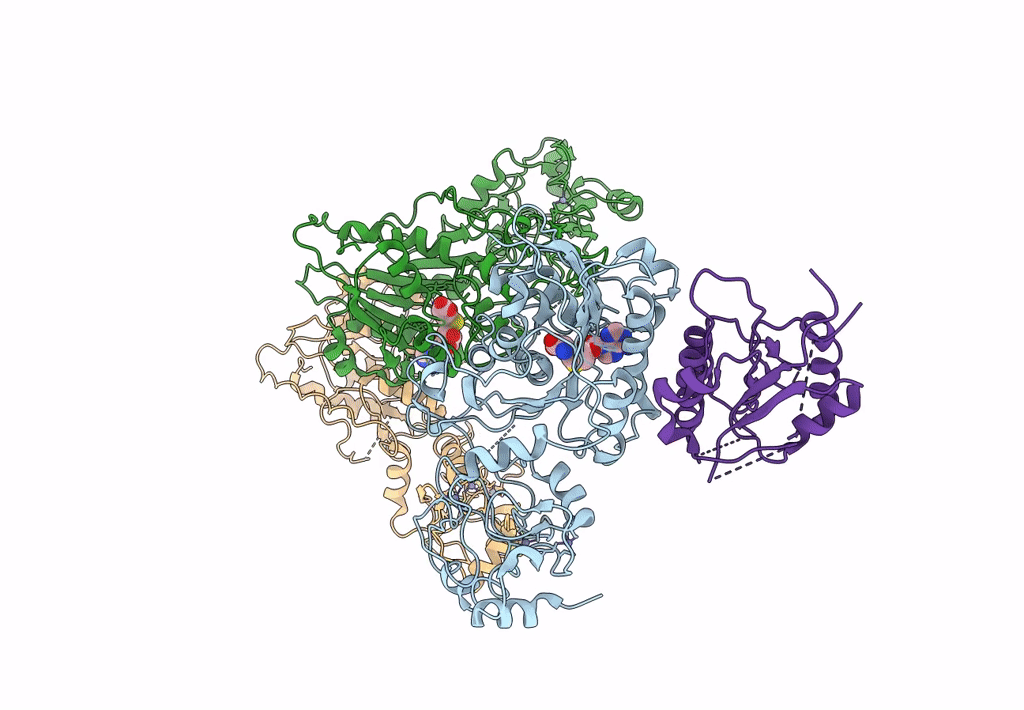 8EII image