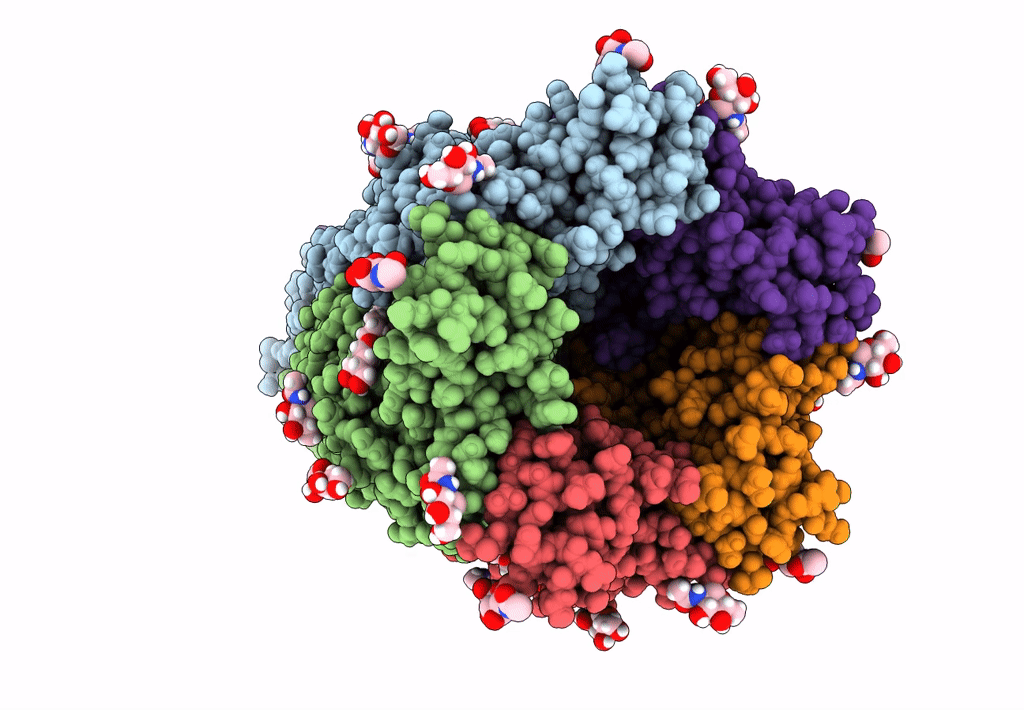 8EIS image