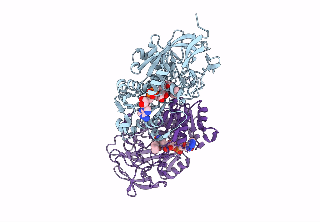 8EIX image