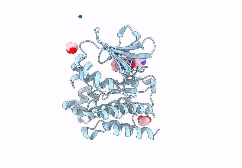 8EJB image