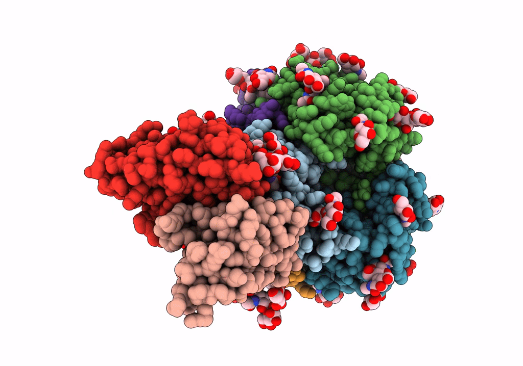 8EJI image