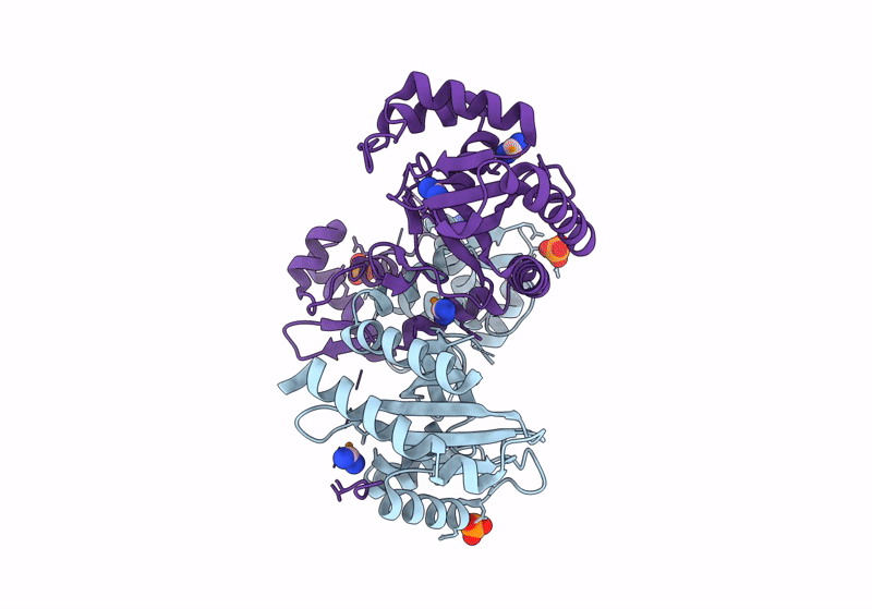 8EJU image
