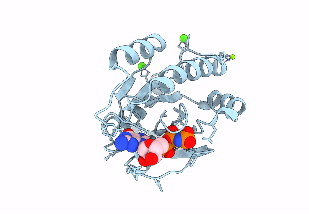 8ELT image