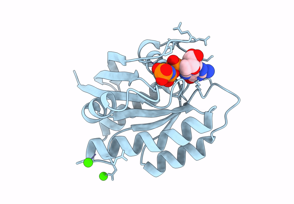 8ELV image