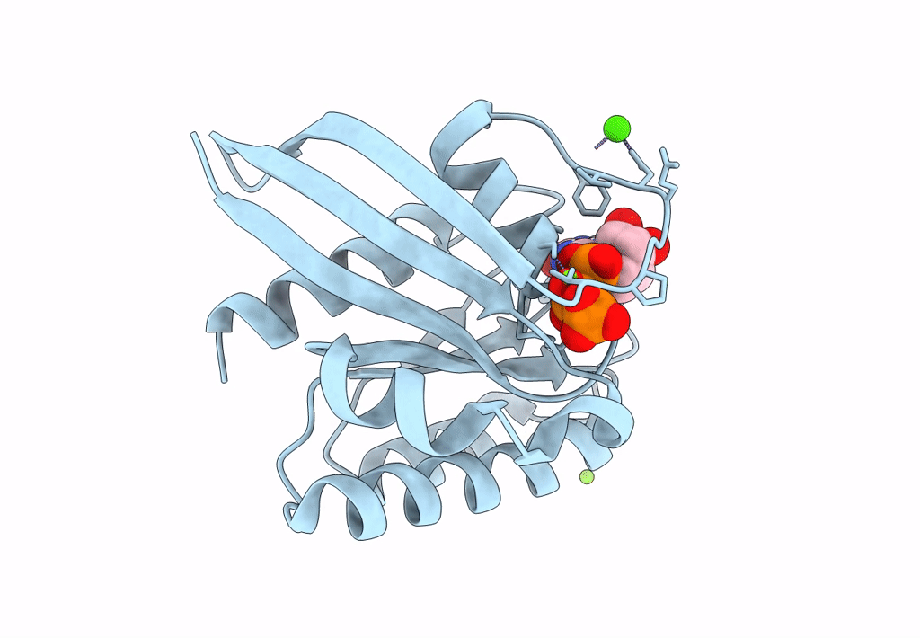 8ELX image