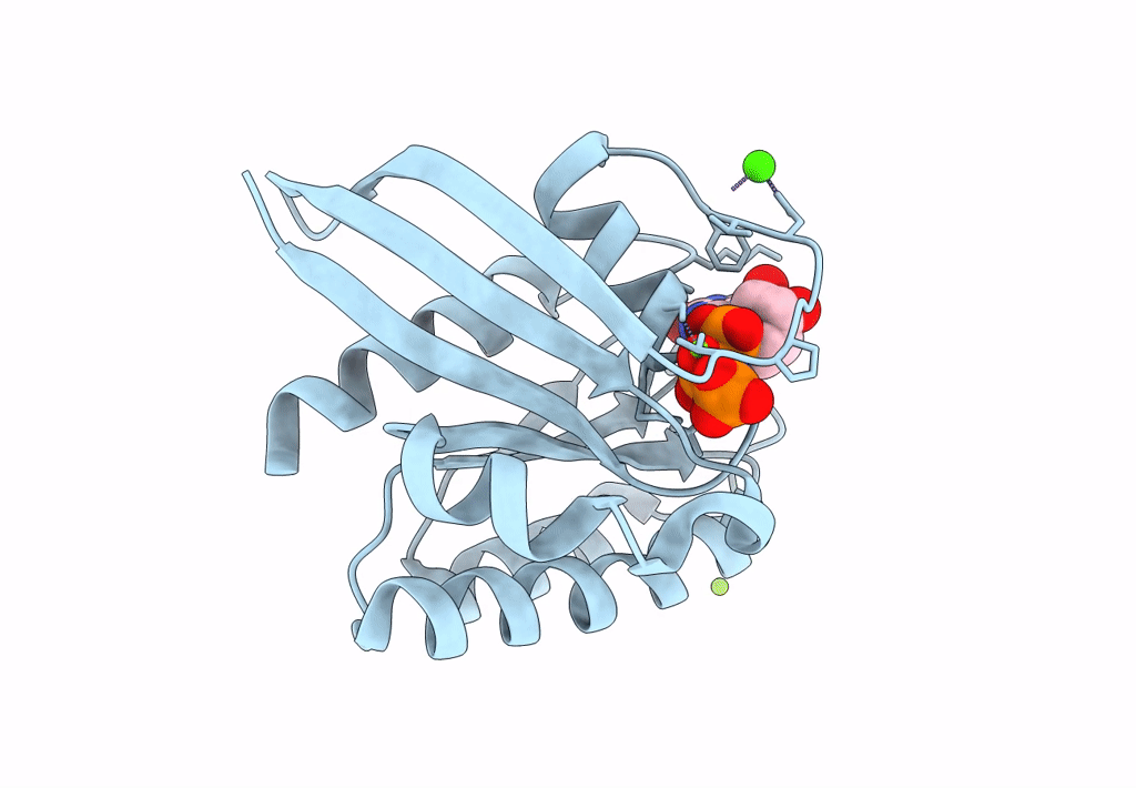 8EM0 image