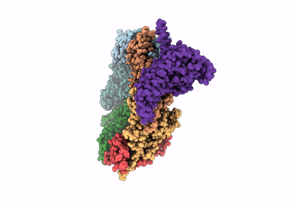8EM6 image