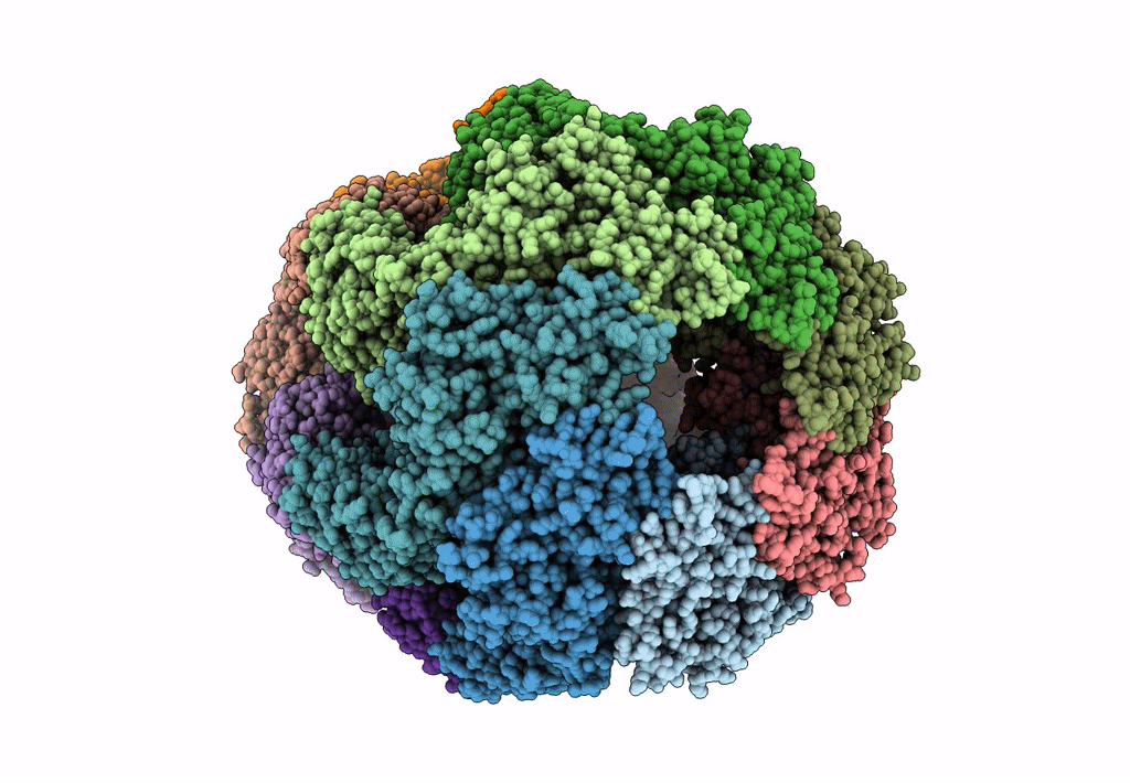 8EMC image