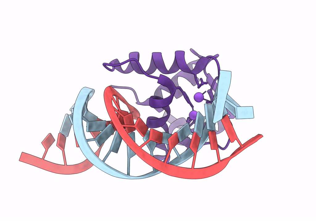 8EMD image