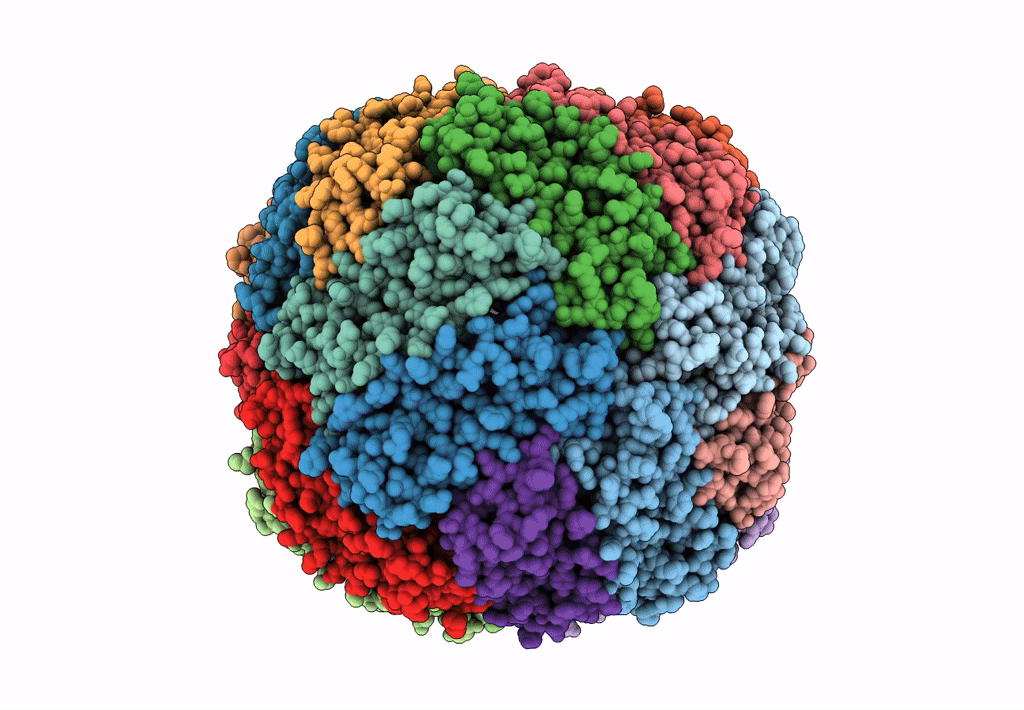 8EMQ image