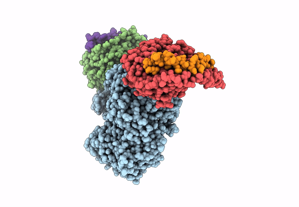 8EMX image