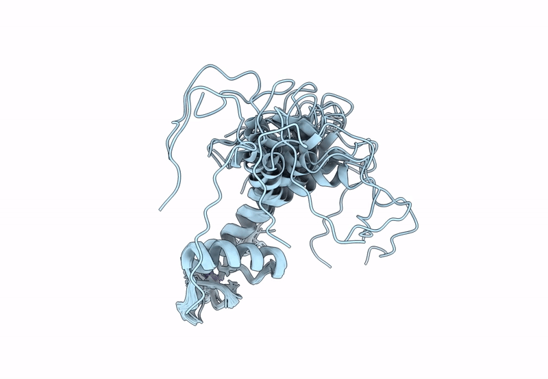 8ENP image