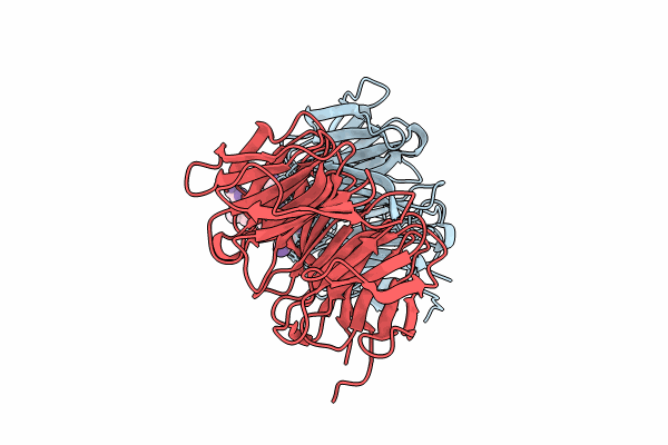 8ENX image