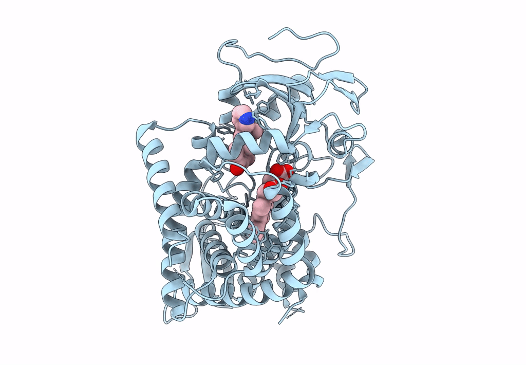 8EOH image