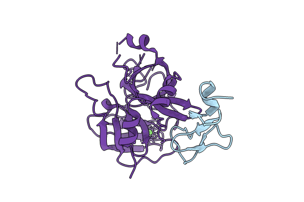 8EPC image