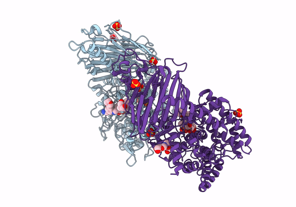 8EPO image