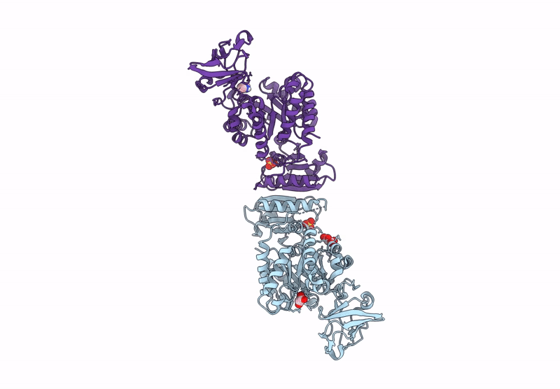 8EQ3 image