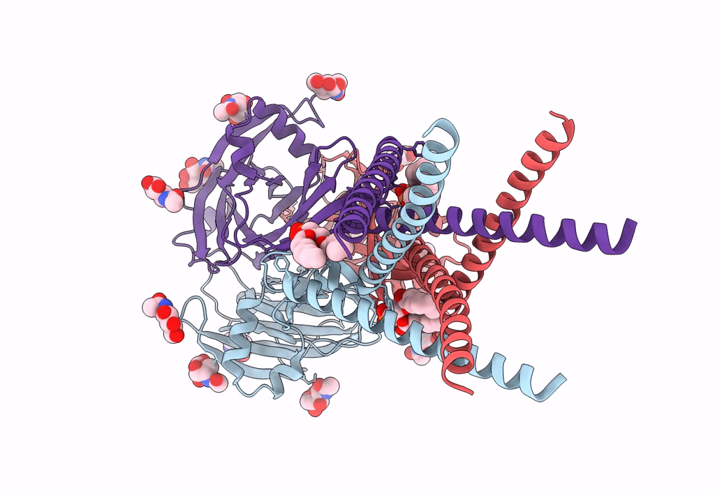 8EQ4 image