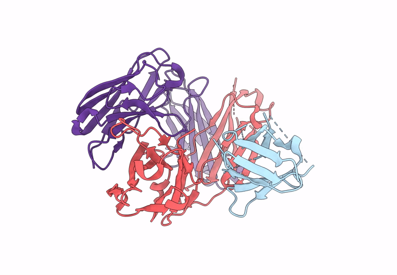 8EQ6 image