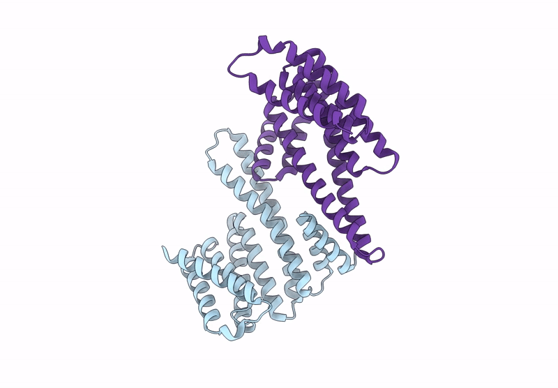 8EQ8 image