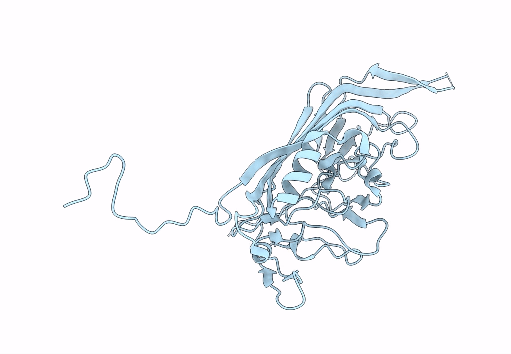 8ERK image