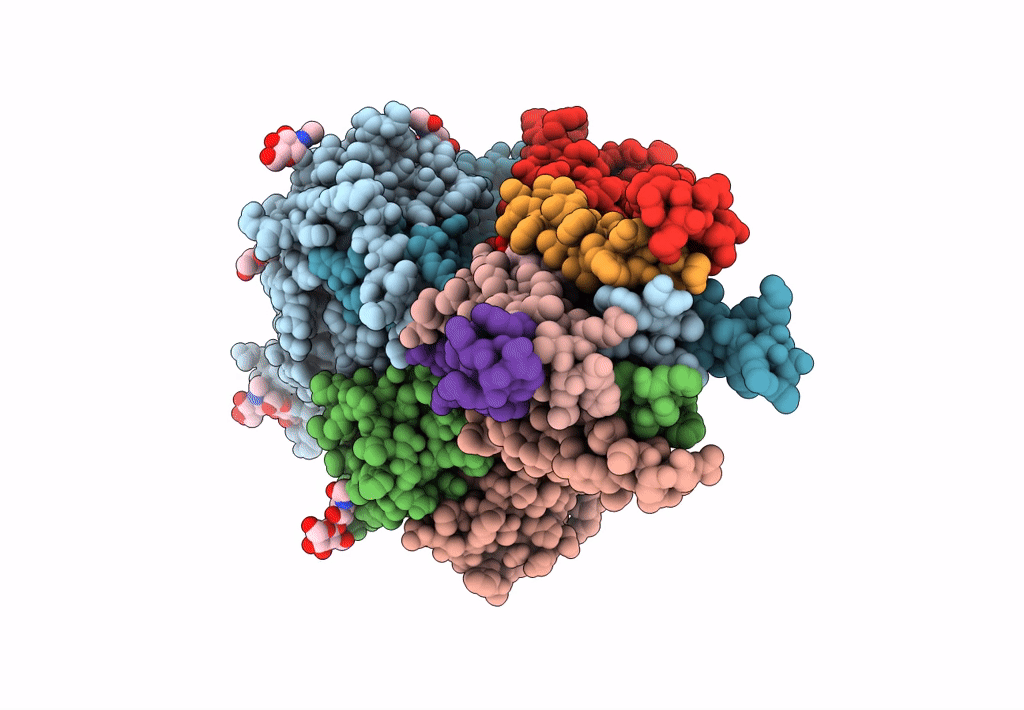 8ES7 image