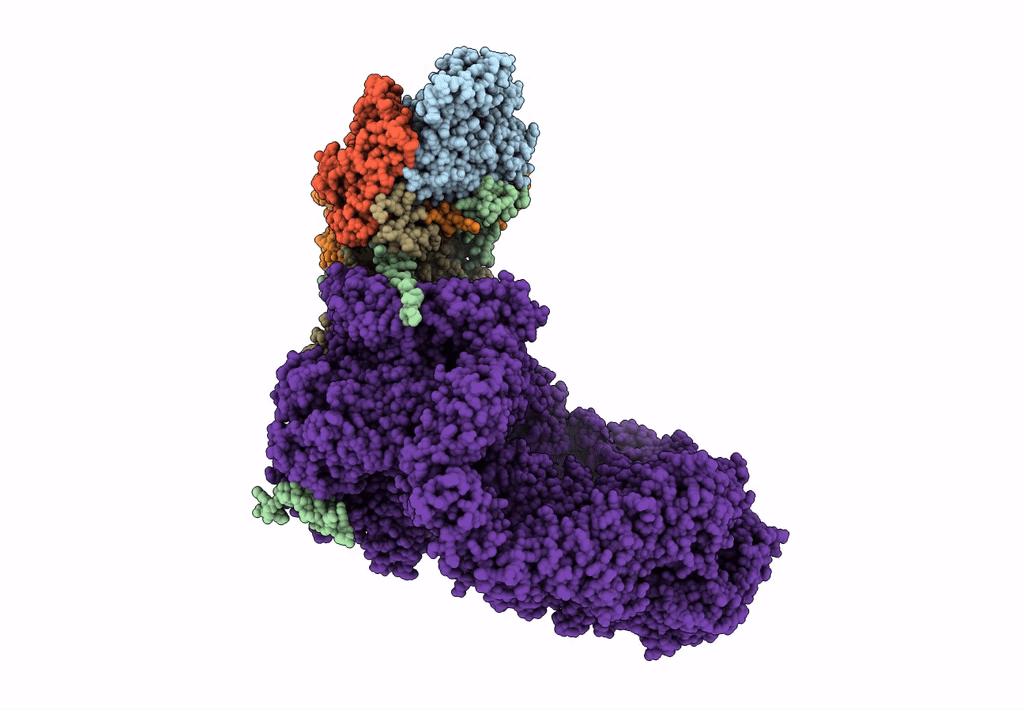 8ESC image