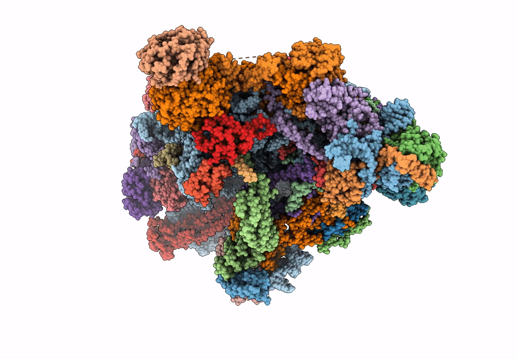 8ESR image