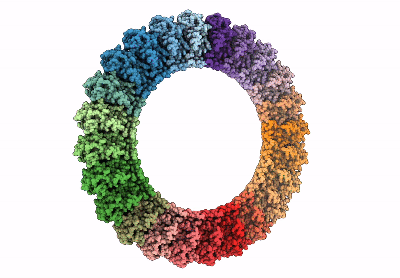 8ET1 image