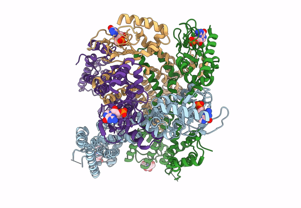 8EV9 image