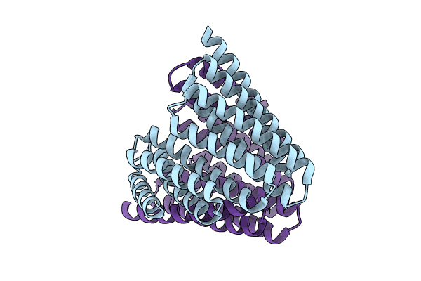 8EVM image