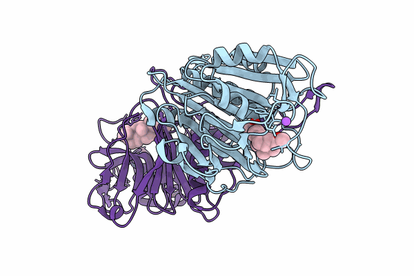8EWT image