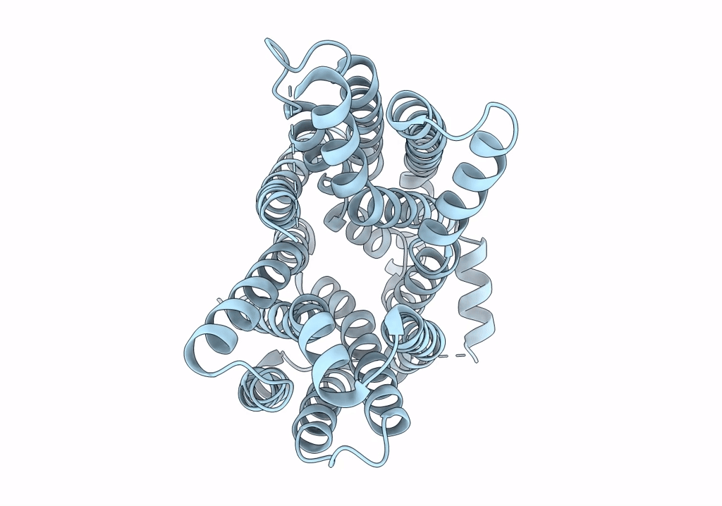 8EX5 image