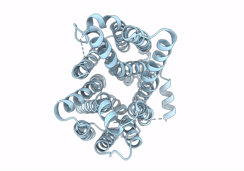 8EX8 image
