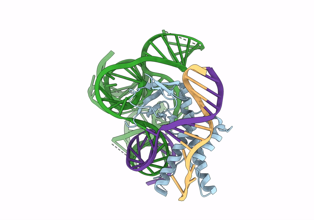 8EX9 image