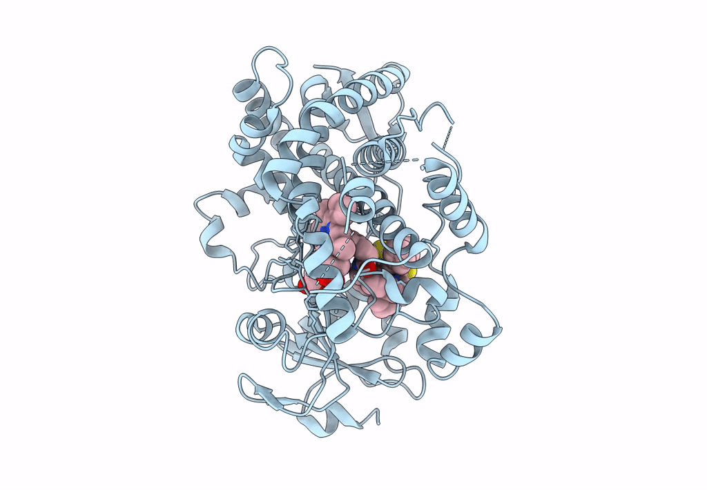 8EXB image