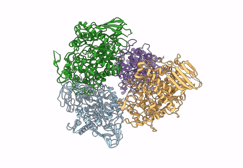 8EXD image